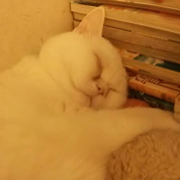 89c1d6f8 d89a 4075 9afb 88ee4f040b65