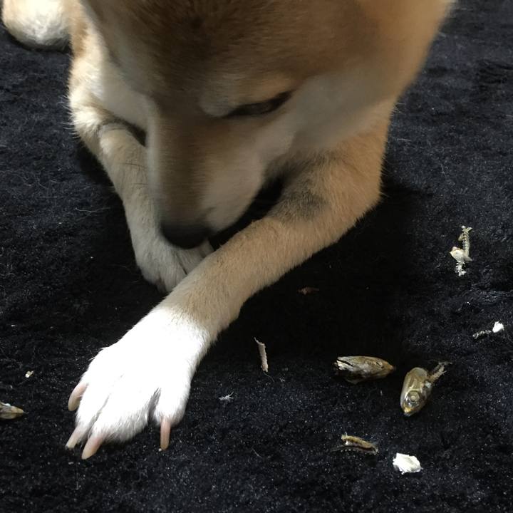 89c2c3fd 839a 4809 9f0d a81d42c42902