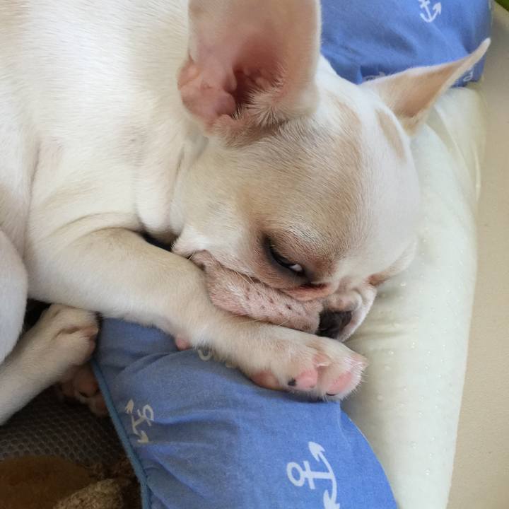 89c42fcf d8f9 46a7 b46a d33d7b75ae6e