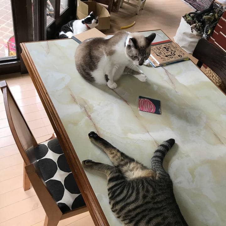 89c4b5d8 15ab 429e a6a5 6ae5012474c0