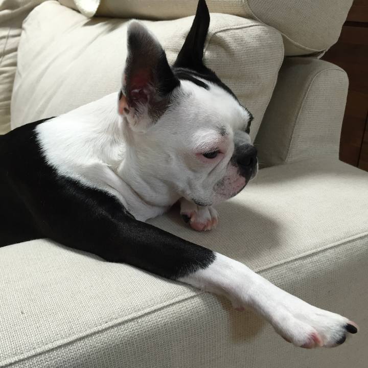 89c4d06f 1d12 4b7c a7bc 52ffacc34117