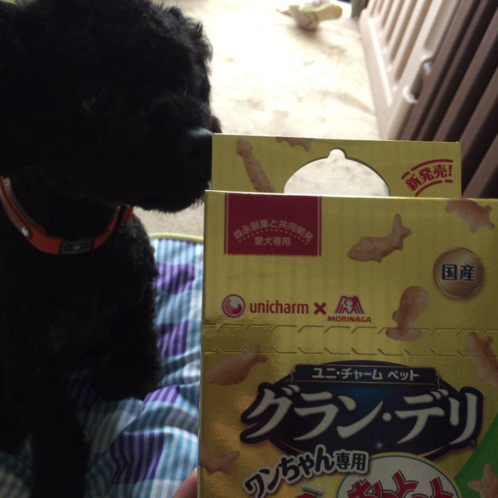 89c4d0dc 5706 4b8d b29a ec97e6a5e024