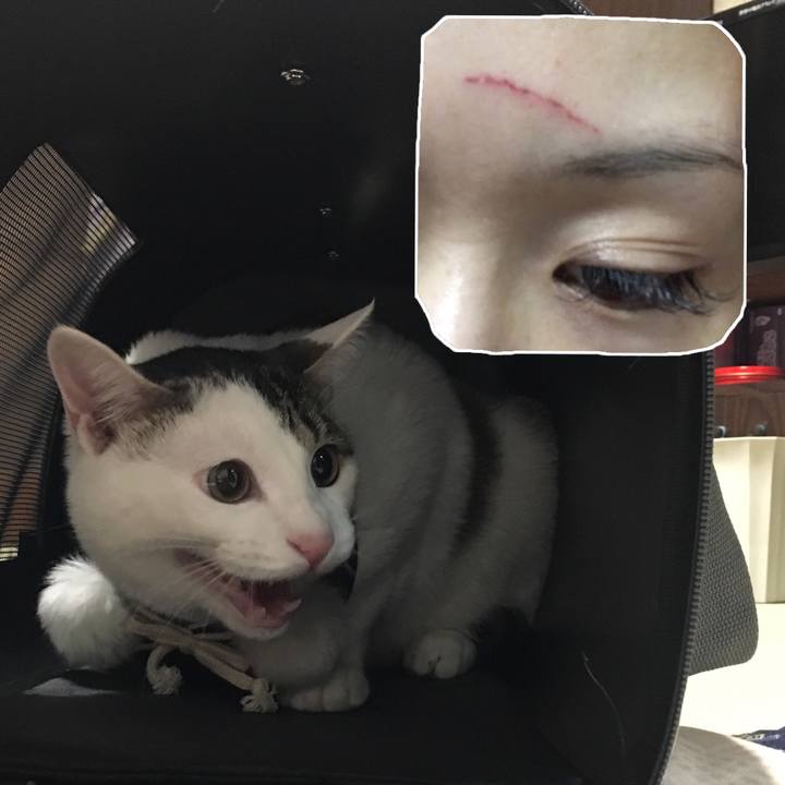 89c57a75 0908 46c4 bfc5 49ba533a6f03