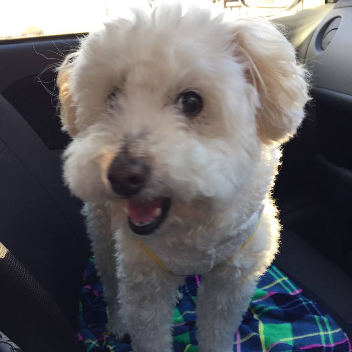 89c59aa8 1629 446c a91e 12481ea44a0d