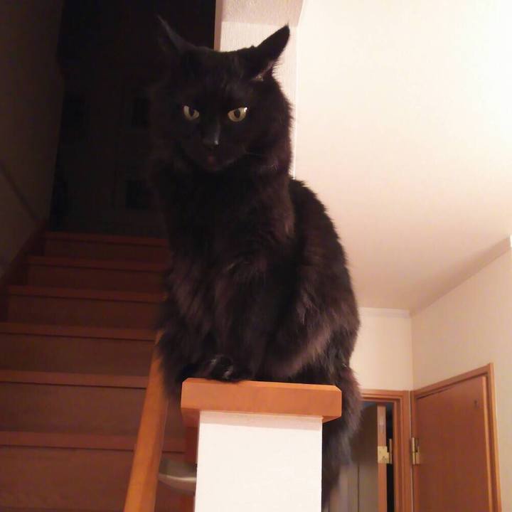 89c5d651 5317 454c 98b0 ba0c0b2b1308