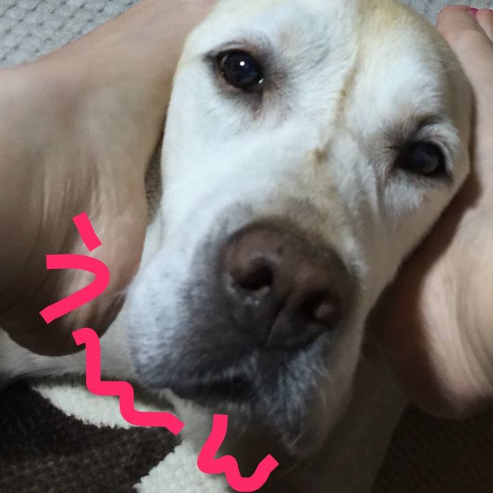 89c5fb61 f5c3 4453 8b27 e39e3f2768d7