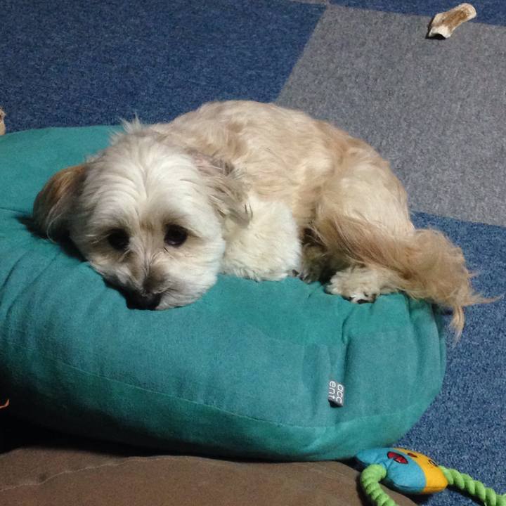 89c6080f 300e 4b48 b131 c0d0b77fefad