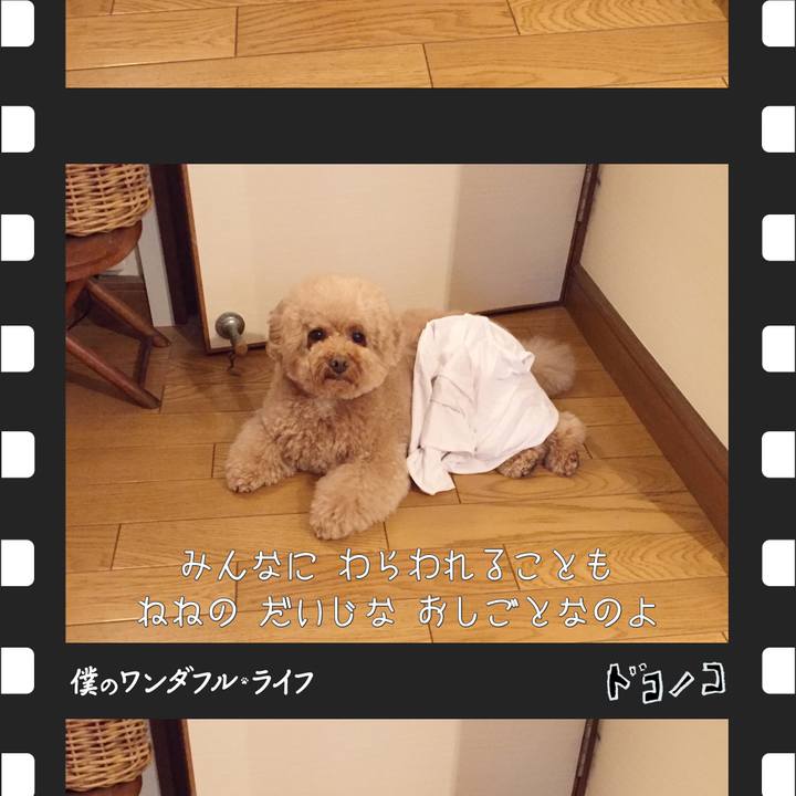 89c614b9 9018 4046 9e9b cac25f34ac7c