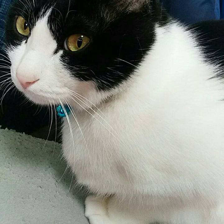 89c62f97 9586 4b39 9611 8ffe6d43d180