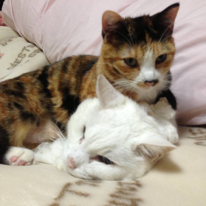 89c64993 109b 45a3 a279 84fbb8275555