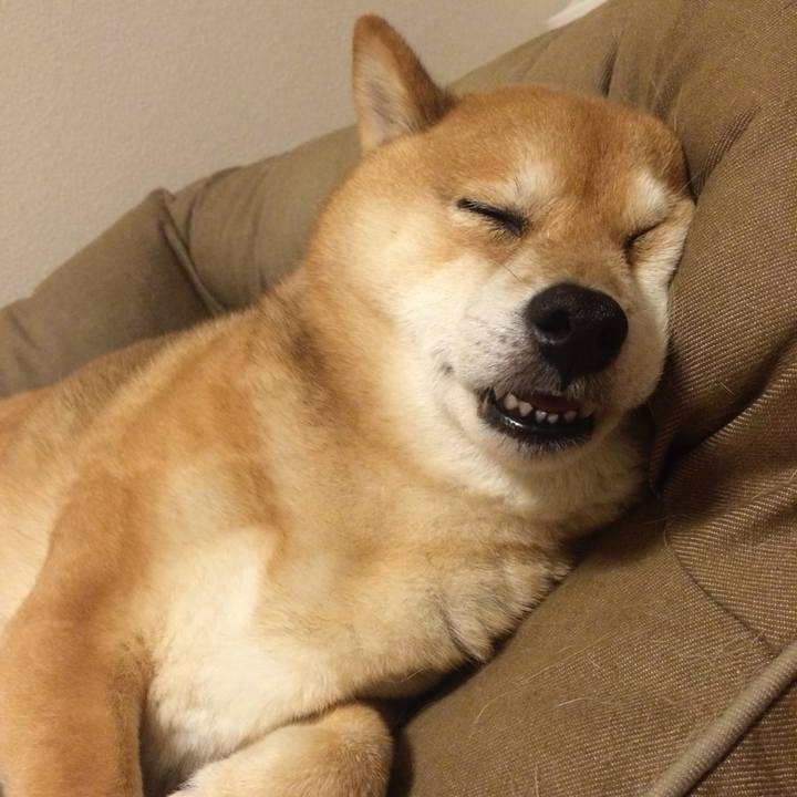 89c66f31 71be 4e98 b961 7e0f3023223a