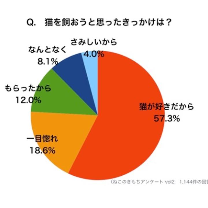 89c68c53 143e 4cf0 adcb 3d261cb528f5
