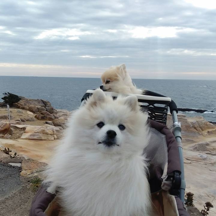 89c79ff8 39bf 4d93 917f 262d25932856