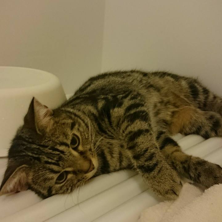 89c87a23 9a88 455b 9b8f 8bda18510608