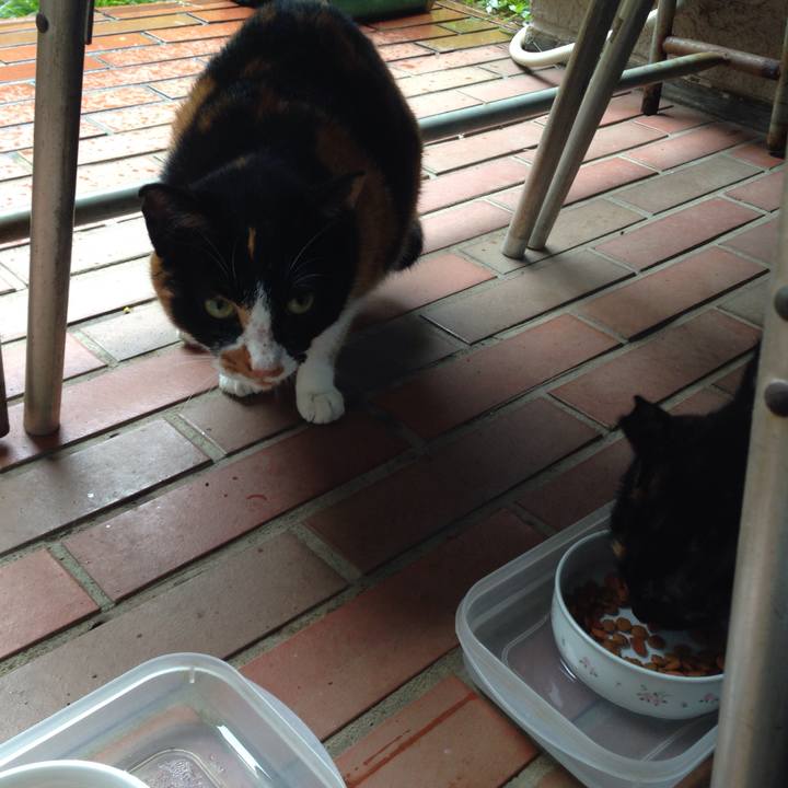 89c97566 13ce 4c22 9a58 ceb6839567d8