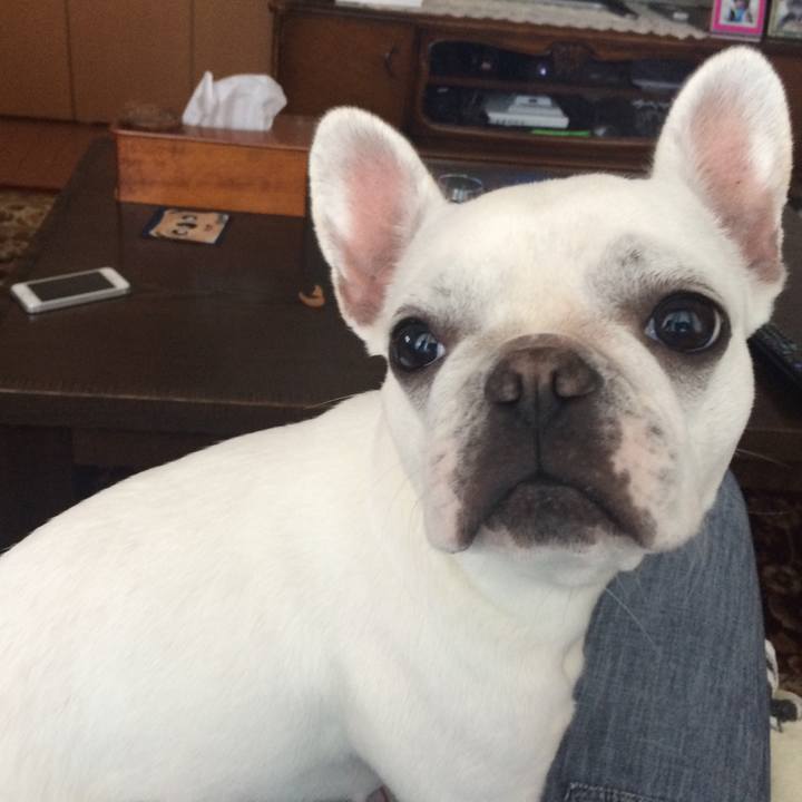 89c98a40 cb45 417d 8623 f28e7e6b27f8