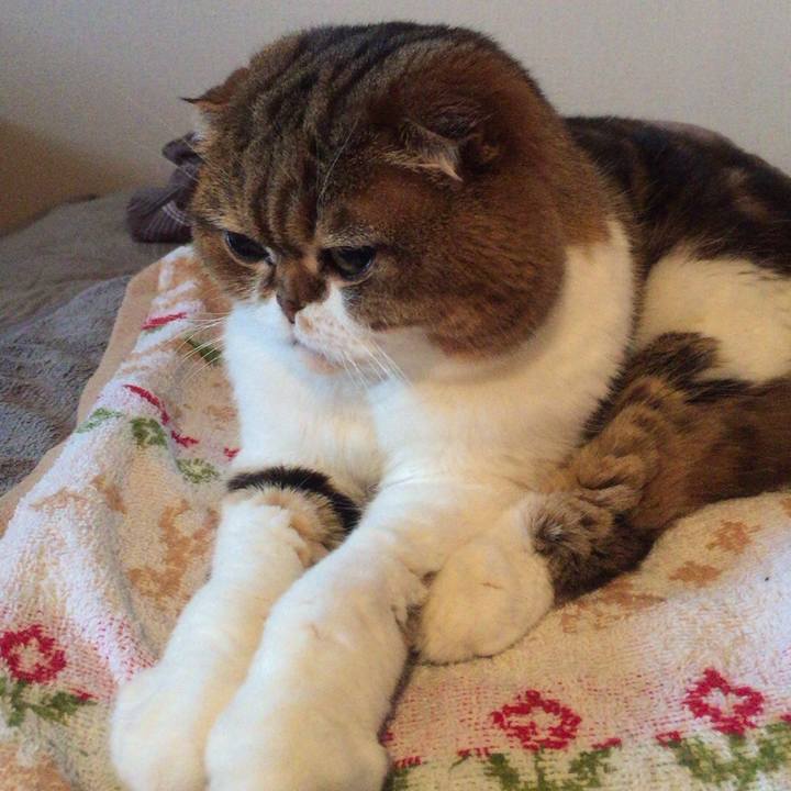 89c99da0 d96a 4ba1 a927 2442763d65e8