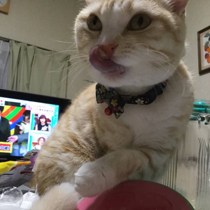 89ca02c9 5930 4a70 bd6f 978a2d3a86a0