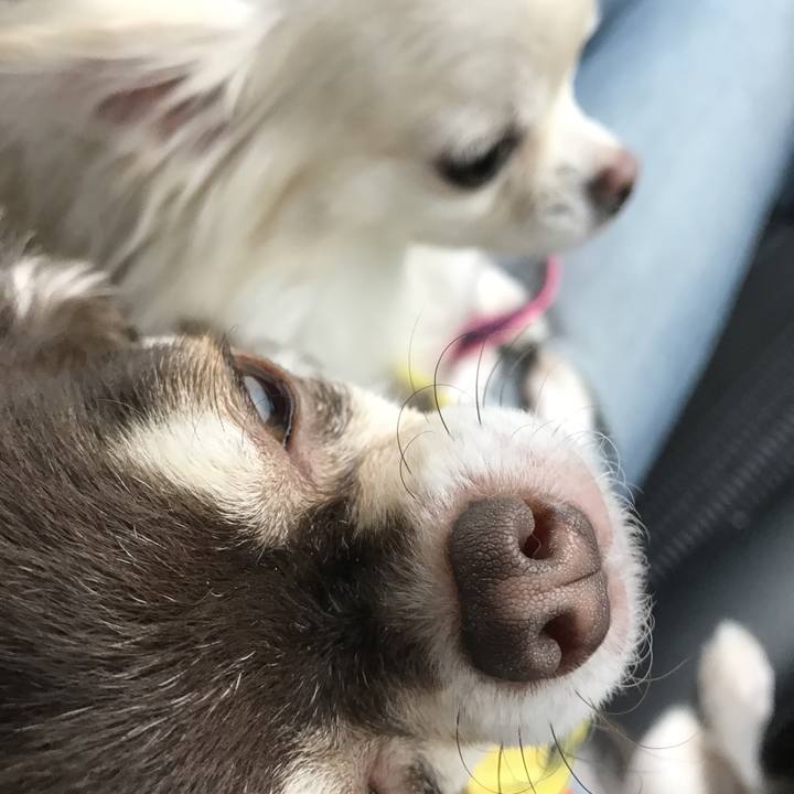 89ca2270 06e4 4b93 b7b1 111d7d39f109