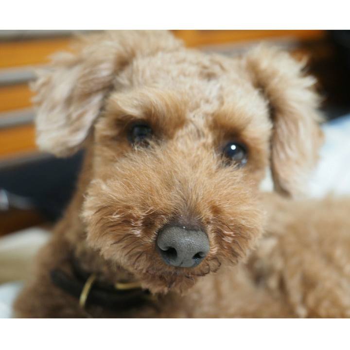 89cadd1e 3dd2 4ec4 9e49 e49e53cc432c