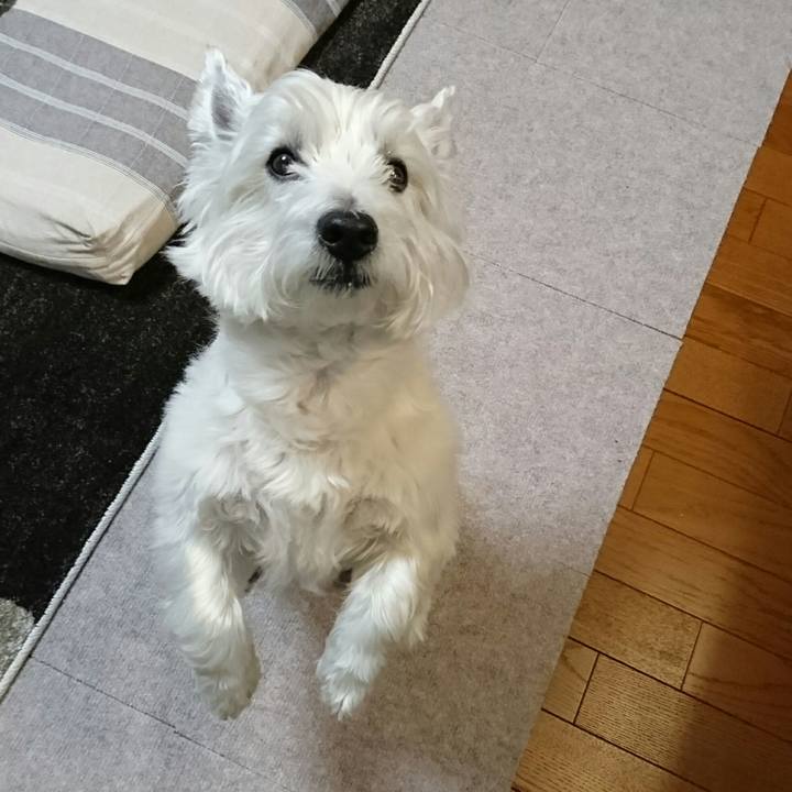 89cb605d d3da 4276 bb6c d422107f6559