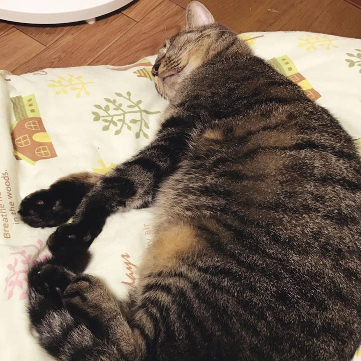 89cbd1bb e7c1 41bc 8abe 425cd033dd26