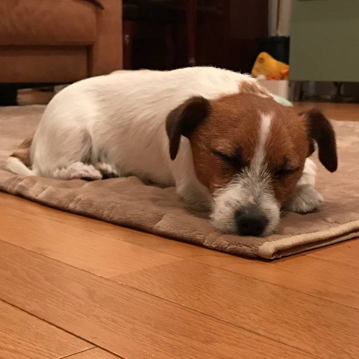 89cc124d e7ae 4871 a2f9 7439e16b1aba