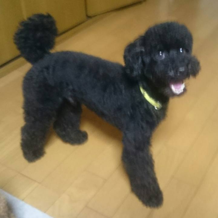 89cc2563 d37f 49b2 a173 88f2a041be54