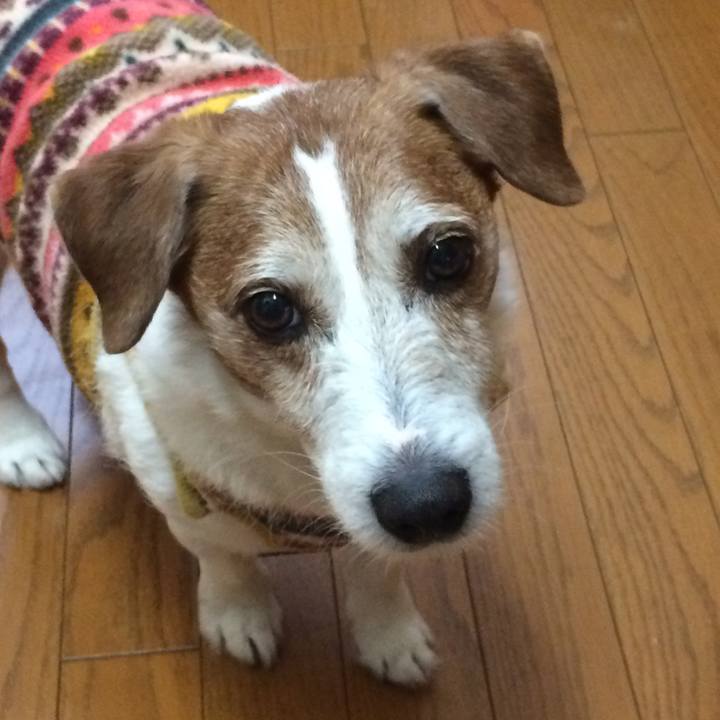 89cc57d7 7169 47c8 a554 033a96b15f76