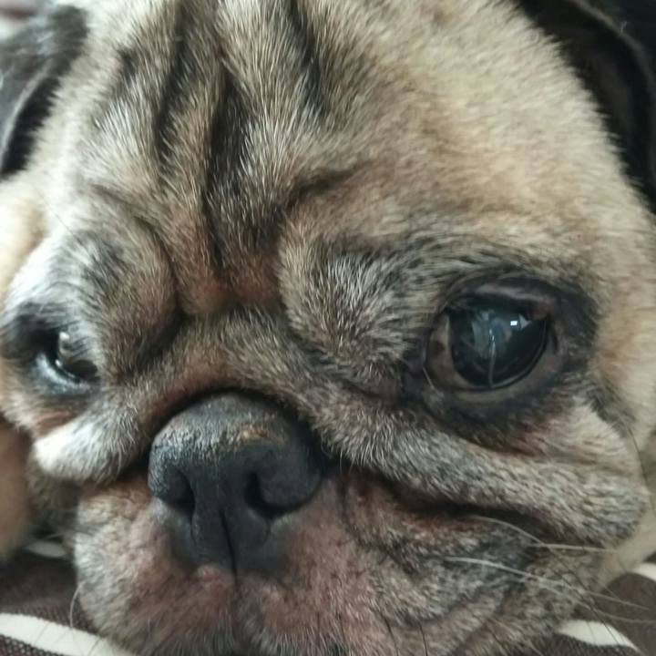 89cc9201 78e7 4074 9e91 d6297cb4660c