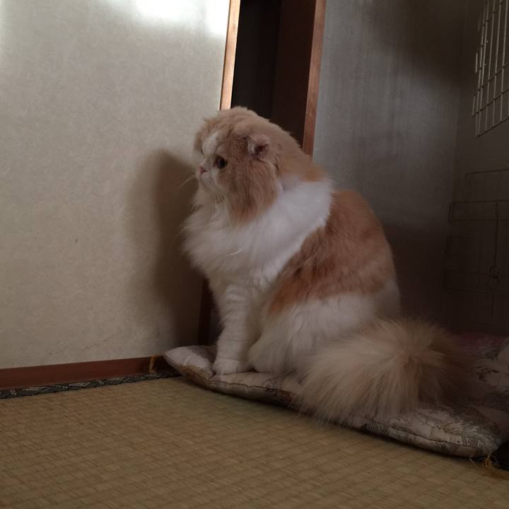 89ccb1e0 e590 4bf6 9f9a 231bcd0dec38