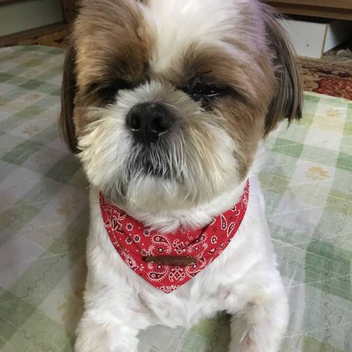 89cd1ee6 9126 4984 8fd8 4c82ab1e0509