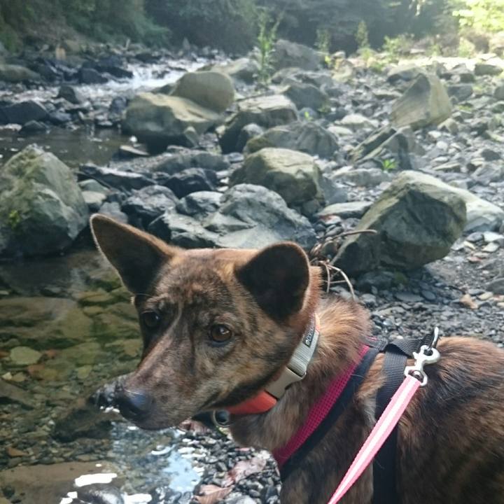 89cd418e 6c12 4c42 b203 a625bfa2f8b4