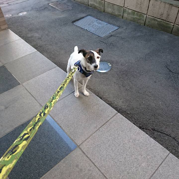 89cd6877 0068 4fb1 afa8 9631f1f52dc7