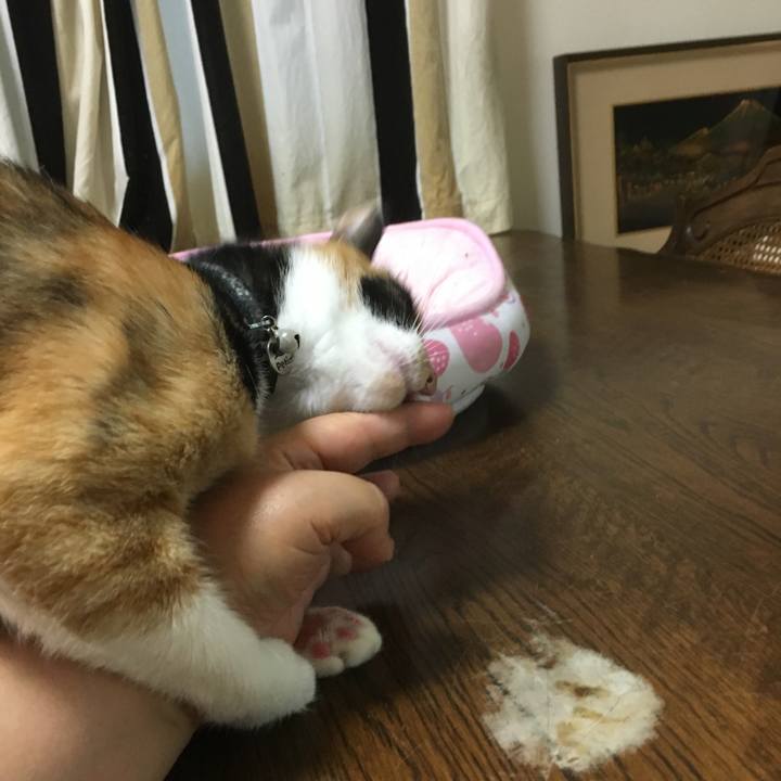 89cd724b e909 41dc acb9 1b9d6f500fbc