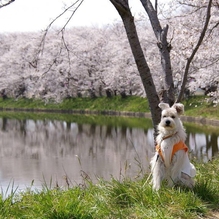 89cdb52f f572 4cbc b598 436e1f65bbaa