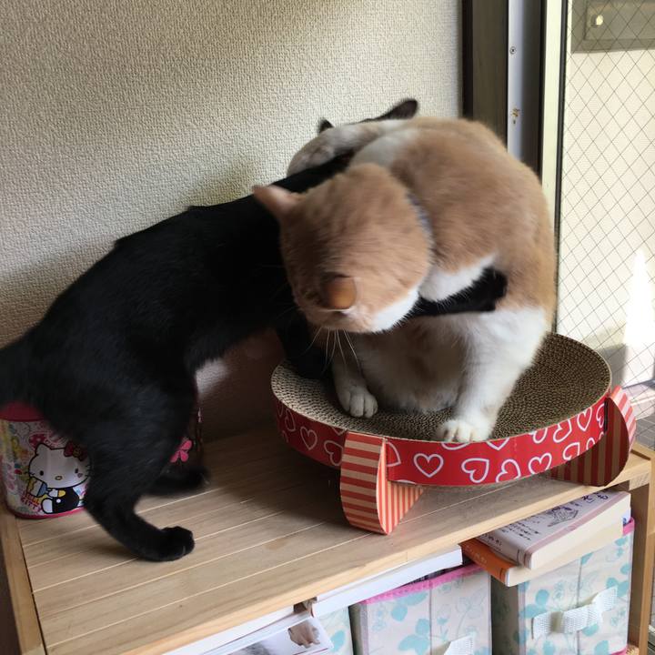 89cdf444 427a 4417 a133 3b04f9f01717