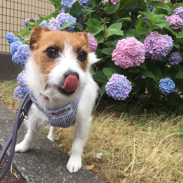 89ce84ce 7c25 452c bafd 6eb237726c75