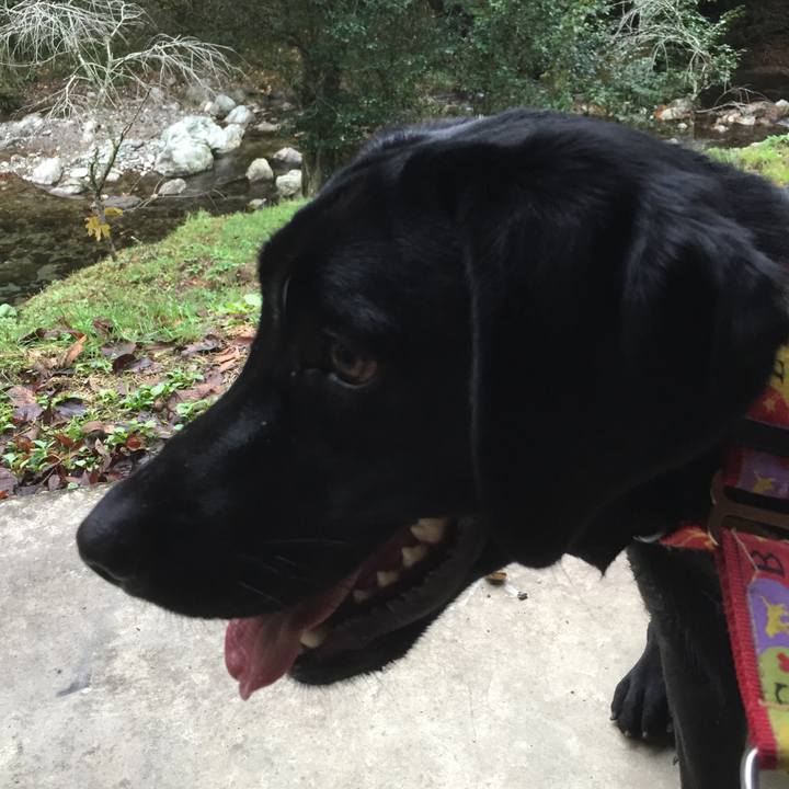 89cedc45 01da 4371 b15e ce5c2b52884d