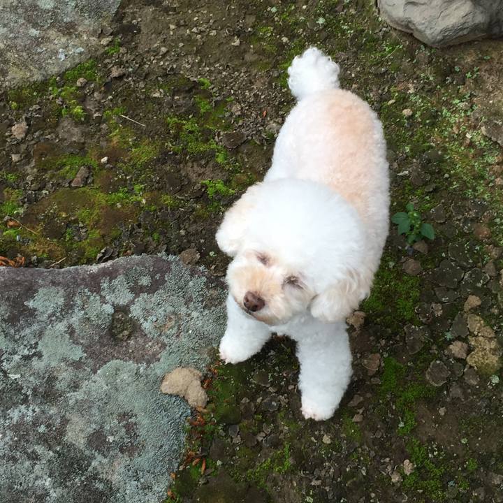 89cf3157 c189 436c 9a3b f806b9cd98bc