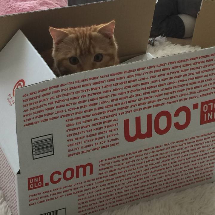 89cfedff 9d81 4f3a b998 0e83dc4a26a9