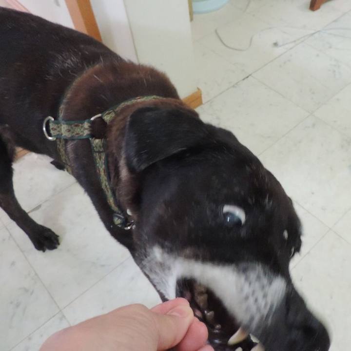 89d06cdd a793 491d 86e1 7b8f33985740