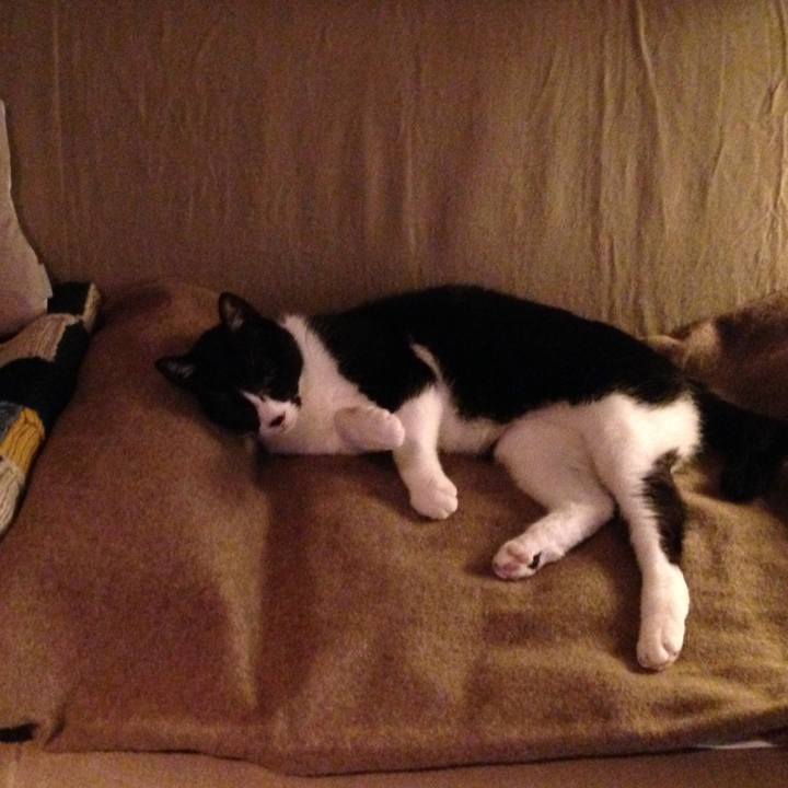 89d0718c 7813 4897 8269 b764916b7f96