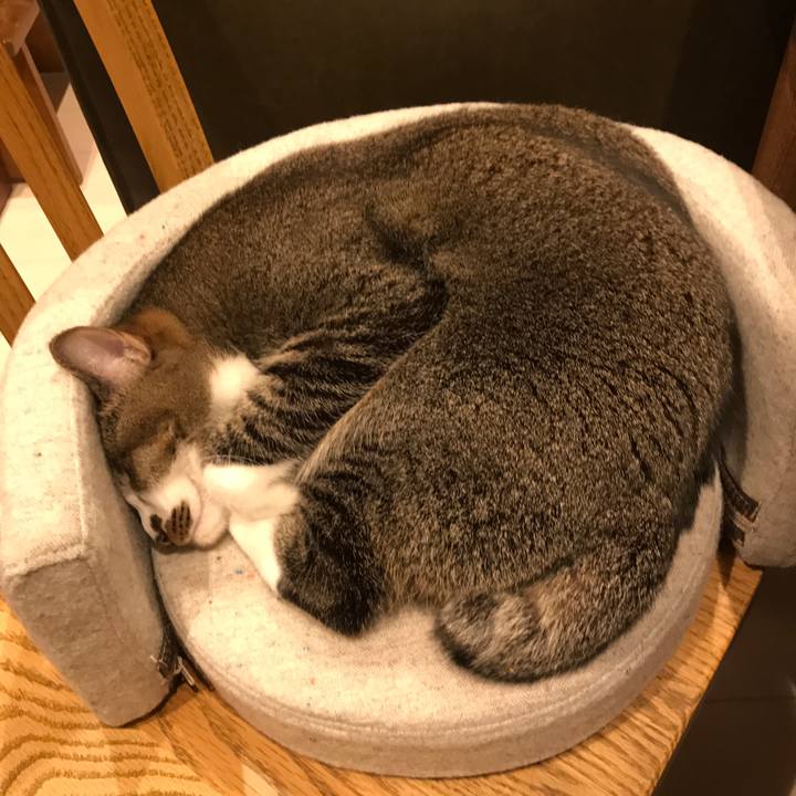 89d09498 dc42 4659 9516 39457c4e09db