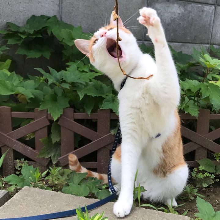 89d0e10b e4cd 4b69 8ffe 5e48b50fa55a