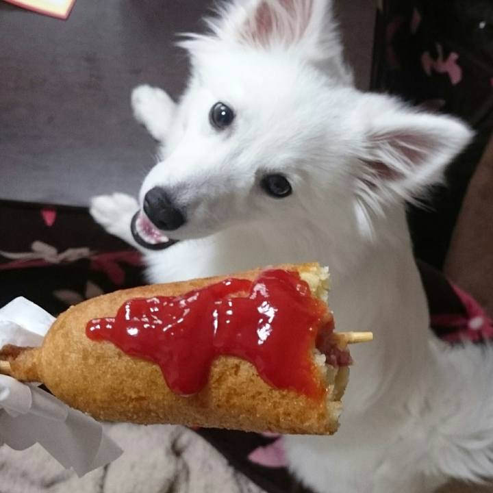 89d144e9 e5be 4ad7 85d7 9d4b77844e97