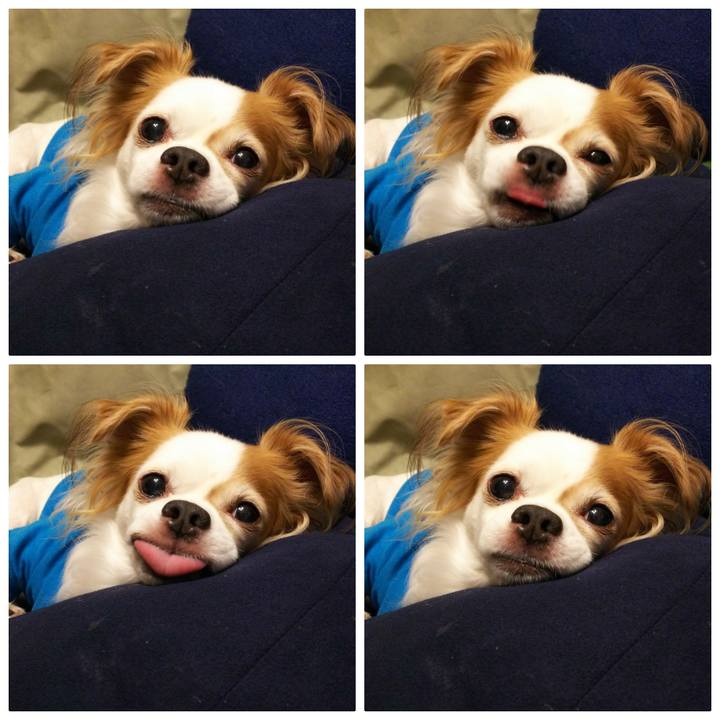 89d1618c 3da8 4787 a3ec c314a200f423