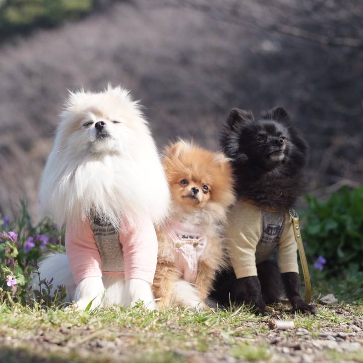 89d1de34 540c 4487 a0f9 584a11651260