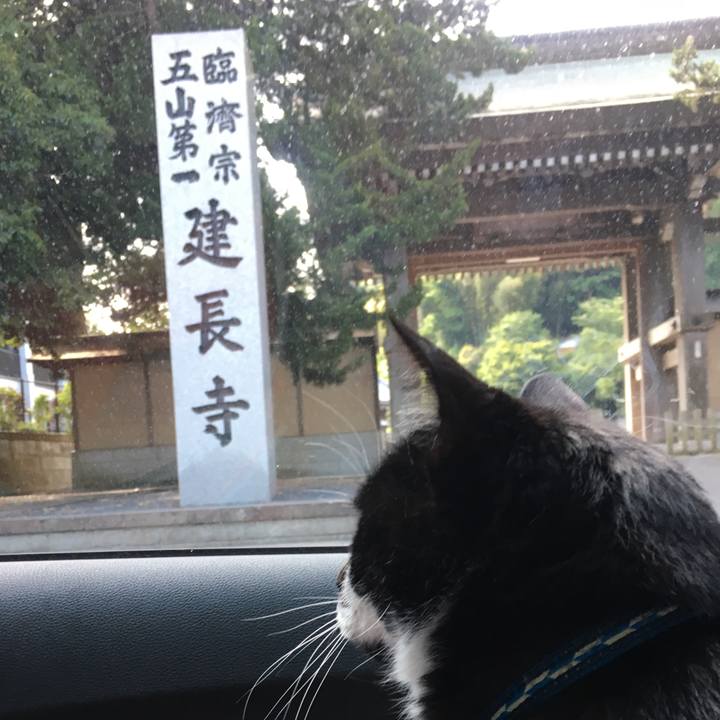 89d1fb1c b7b4 4c19 9182 33d945d0ef1e