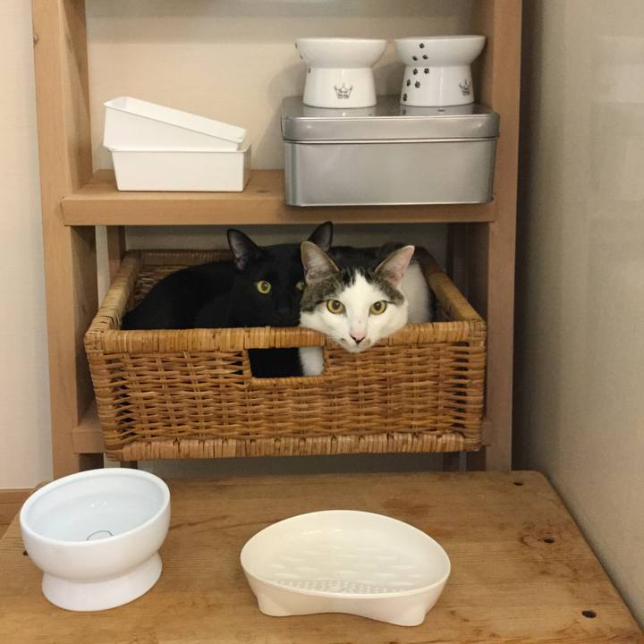 89d1fe25 5f1b 404a 8d01 97ac29078187